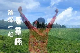 高山草原，位于云南寻甸四哨村，最佳游玩时间每年的6-9月。视频封面