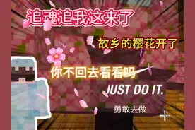 giao桑，故乡的樱花开了 你不回去看看吗