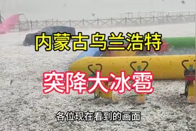 内蒙古乌兰浩特突降大冰雹，农民又要哭了，极端天气太可怕了视频封面