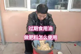 “过期食用油做肥料，你敢用吗？”🌱💚视频封面