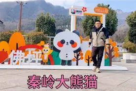 秦岭大熊猫佛坪繁育基地，免费参观无门票，陕西与四川熊猫差别大视频封面