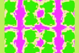 十二大美女视频封面