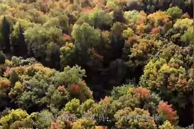 军人退伍和复员有什么不同？