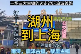 湖州开往上海的公交换乘攻略，票价才8元，途中可游江南三大古镇视频封面