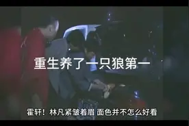 双男主重生养了一只狼视频封面