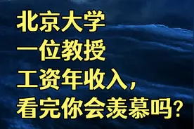 北京大学一位教授工资年收入，看完你会羡慕吗？视频封面