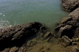 走，一起去大亚湾小桂湾看海