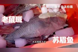 215块钱买一条苏眉鱼，今晚叫美女大姐煮红烧苏眉鱼头，太好吃了