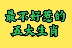 最不好惹的五大生肖，他们做事果断性格火爆，最好不要招惹