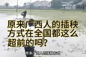 原来广西人的插秧方式在全国都这么超前的吗？#广西