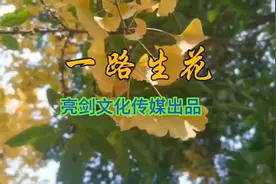 一路生花演唱温奕心词：宋普照曲：张博文视频编辑合成：Eden