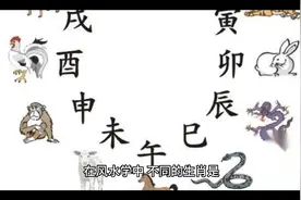 户主生肖属相与房屋朝向的关系