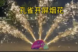 据说：这款孔雀开屏烟花，效果如同孔雀开屏一样好看，帅小伙实测