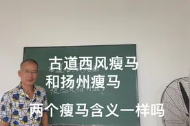 古人说的瘦马是什么意思？古道西风瘦马和扬州瘦马两者含义一样吗