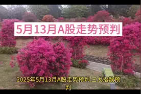 2025年5月13日A股走势预判#股市行情##A股#视频封面