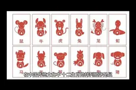 蛇为什么排十二生肖，第六视频封面