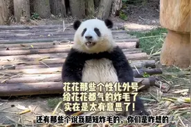 谁给花花起的搞笑外号？给花花气的都炸毛了，请叫花花“果赖”！