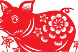 属猪人和什么生肖合作会有好运～视频封面