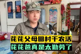 花花父母回村干农活，花花爸真是太勤劳了视频封面