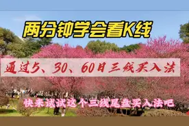 两分钟学会看K线，通过5、30、60日三线买入法视频封面