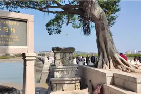 福建泉州，来洛阳桥上走走，不错的体验视频封面