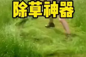 国外小伙自己研发的割草神器，你们觉得怎么样视频封面