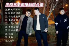 半吨兄弟烟嗓翻唱合集，老歌新唱百听不厌，赶超原唱值得永久珍藏