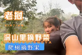 冒着炎炎烈日 三十九度高温 遮天蔽日的蚊子 深山里摘野菜 野果视频封面