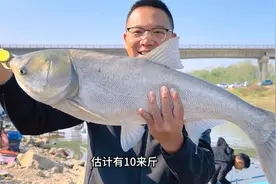 野钓白鲢，用多大的钩距合适？今天用到3指，钓的都是下钩正口！视频封面