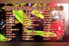 🎶2025春季90分钟爆火DJ歌舞派对🎉