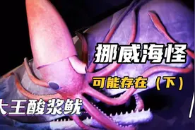 深海海怪（下）地球深海处真实存在的生物, 挪威水下的海怪迷题！