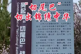 长征最后一仗--切尾巴战役视频封面
