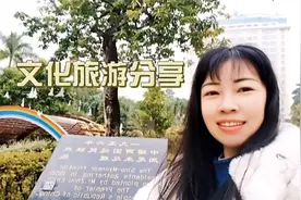 周恩来总理种植的缅桂花，非常具有历史意义到芒市旅游不要错过咯