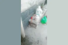 完了，尿裤子了！视频封面