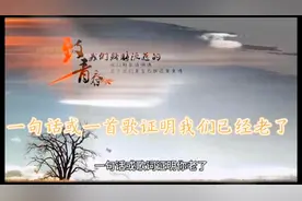 致我们终将逝去的青春，一句话或一首歌证明我们已经老了视频封面