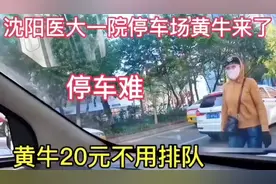 看辽宁沈阳医大一院停车场！黄牛20元 不用排队 带进去。