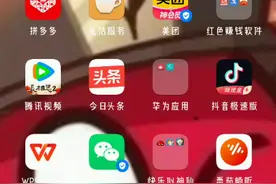 波兰球桌宠