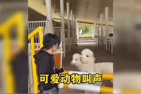 盘点那些可爱的动物叫声，这是我第一次听到螃蟹叫