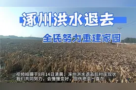 涿州洪水退去后的现状，全民重建家园，107国道边村庄真实现状视频封面