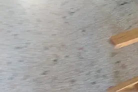 111111111爸爸阿胶浆菩提去溜溜套路我考虑考虑兔兔区域群里