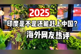 印度能在2025年赶上中国吗？网友们回答亮了视频封面