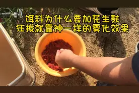 神一样的饵料搭配：蓝鲫加花生麸，保证饵料迅速到底快速雾化诱鱼