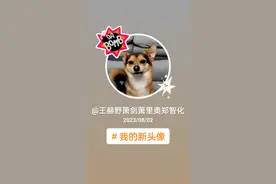 小黑小黄的幸福狗生视频封面