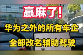 赢麻了！华为之外的所有车企全部改名辅助驾驶！视频封面