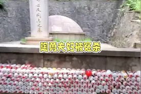 许世友和陶勇感情深厚，陶勇去世后，许世友力保其子女视频封面