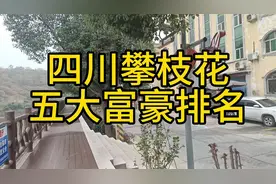 四川攀枝花五大富豪排名视频封面