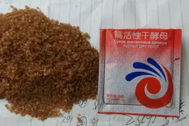 红糖加酵母是最好的生根剂，七天能发酵成功，给蔬菜灌根生根快！视频封面