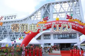 国内电子连接器龙头制造商——得润电子简介（1/2）视频封面