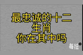 最忠诚的十二生肖，这其中有你吗视频封面