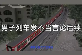 男子列车发不当言论后续：男子聊天内容曝光，大姐锁喉做法被痛批视频封面